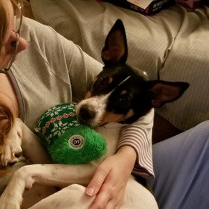 Meet your Posher, Dee dee